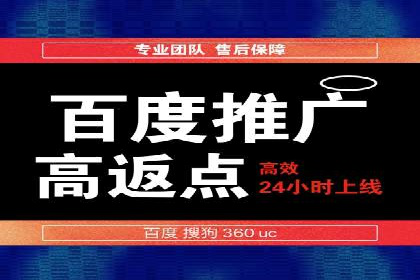 关键词竞价排名实战案例精选解析